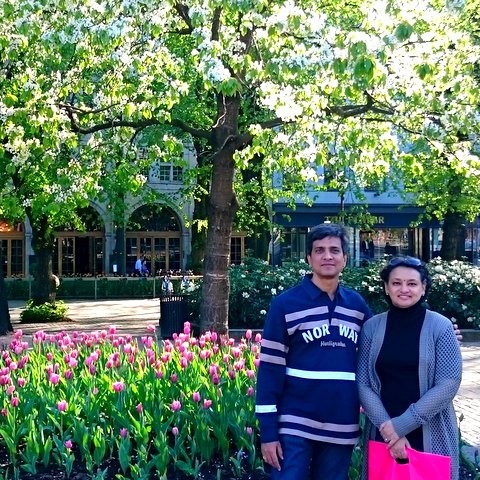 Presentation process ramgopal 08 image