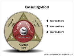 Consulting Models