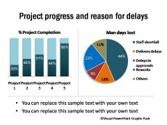 Project Progess Percentage and Reasons for Delays