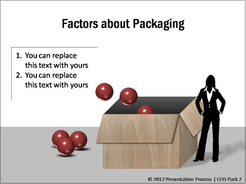 Packaging Marketing Mix from CEO pack 2