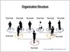 Organization Chart in POwerPoint Small