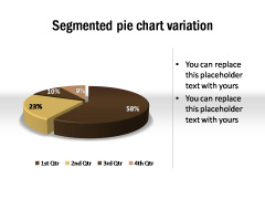 Segmented Pie Chart Variation
