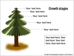 Growth Stages and History