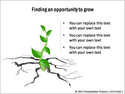 PowerPoint Opportunity for Growth