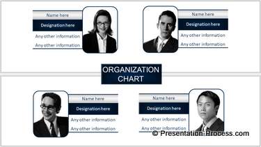 Organization Structure