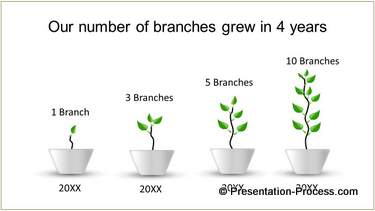 tree growth timeline
