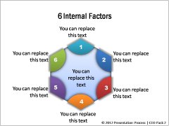 Internal Factors