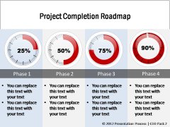 Project Completion Roadmap 