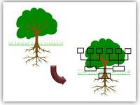 PowerPoint Tree