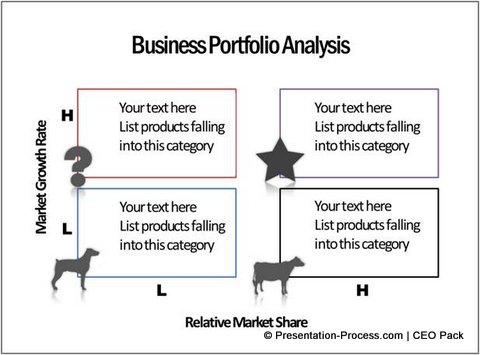 Portfolio Analysis CEO Pack PowerPoint