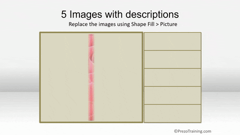 Animated PowerPoint Picture HIghlight