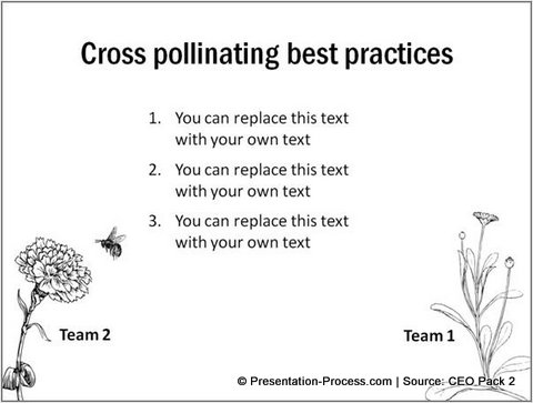 Transferring best practices graphic