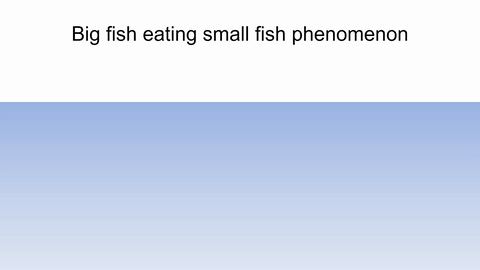 Big Fish Business Concept PowerPoint