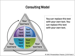 Consulting Models