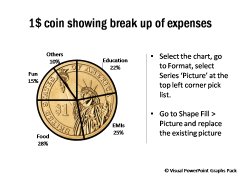 Coin Pie Chart