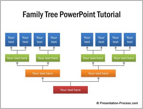 Pedigree Chart Ppt