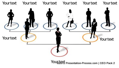 3d Organizational Chart