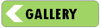 Go to Gallery of Visual PowerPoint Pack