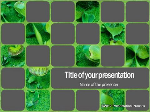 Variation of PowerPoint Title slide