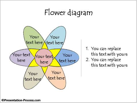 Multi-Color Hand Drawn Model of Flower