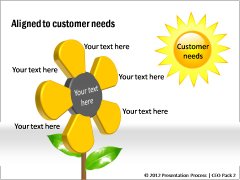 Alignment to customer needs 