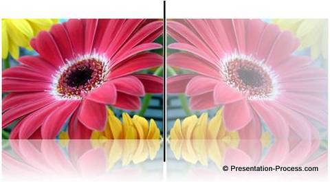 MIrror Image in PowerPoint