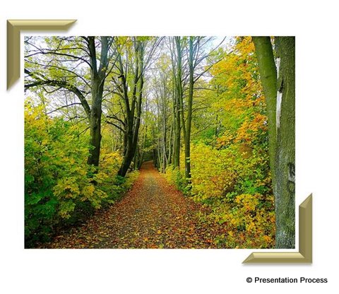 multiple-animations-in-powerpoint
