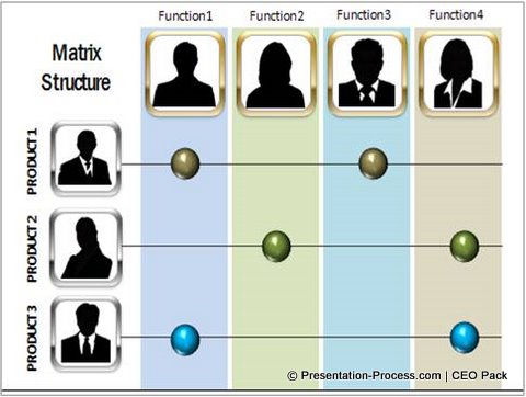 Complex Org Chart