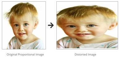 original-vs-distored-image-small