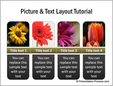 picture and text layout in powerpoint layouts for powerpoints