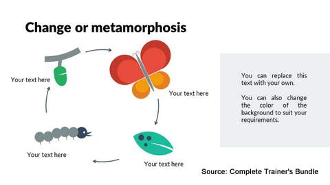 Metamorphosis Growth PowerPoint