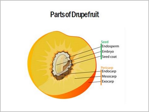 PowerPoint Images Informational