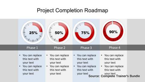 PowerPoint Infographic project