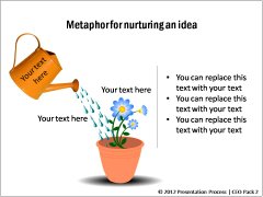 Nurturing an Idea