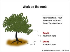 Work on Roots for sheen on Leaves