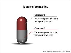 Merger of Companies 