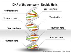 DNA Double Helix