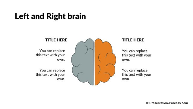 Left and right brain