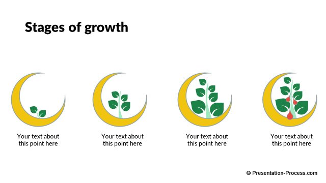Stages of growth (2)