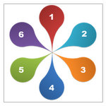 Flower Diagram Image