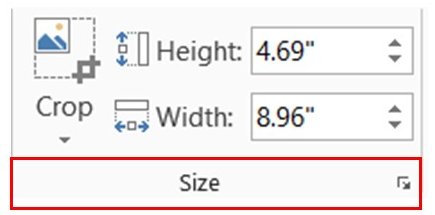 Size Option Menu Size Option Menu