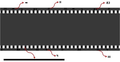 powerpoint timeline template using filmstrip film photo template