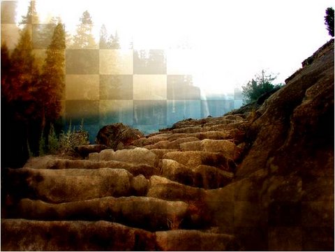 Variation of Merged Image Variation of Merged Image